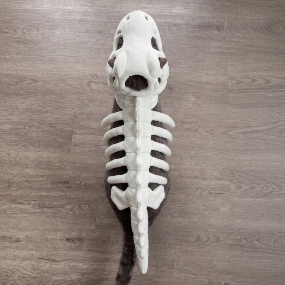 Leuchtendes Dino-Skelett Kostüm für Hunde & Katzen